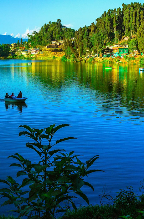 Darjeeling Group Tour