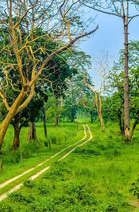 Buxa Tiger Reserve Tour