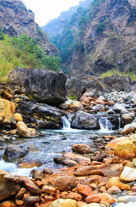 Gorumara National Park Safari