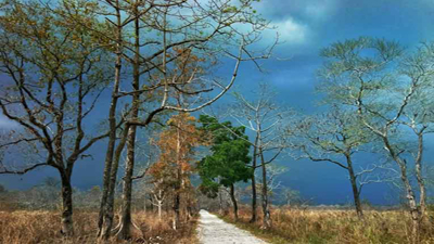 Manas Nature Walk